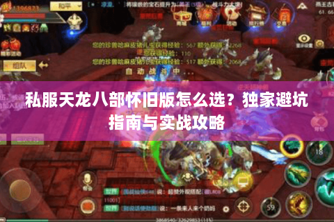 私服天龙八部怀旧版怎么选？独家避坑指南与实战攻略