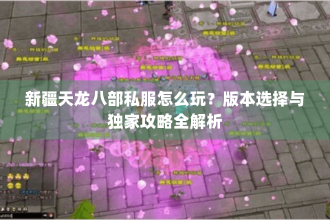 新疆天龙八部私服怎么玩？版本选择与独家攻略全解析