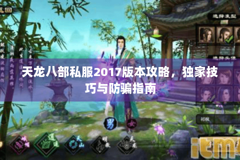天龙八部私服2017版本攻略，独家技巧与防骗指南