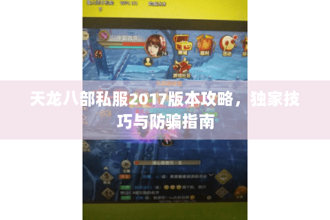 天龙八部私服2017版本攻略，独家技巧与防骗指南