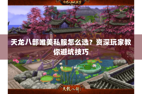 天龙八部唯美私服怎么选？资深玩家教你避坑技巧
