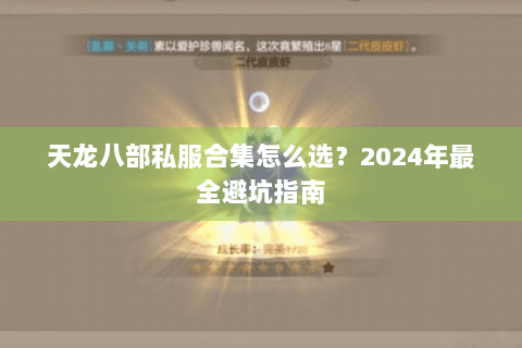 天龙八部私服合集怎么选？2024年最全避坑指南