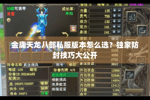 金庸天龙八部私服版本怎么选？独家防封技巧大公开