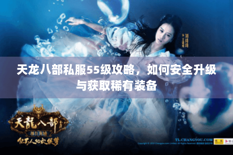 天龙八部私服55级攻略，如何安全升级与获取稀有装备