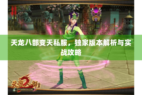 天龙八部变天私服，独家版本解析与实战攻略