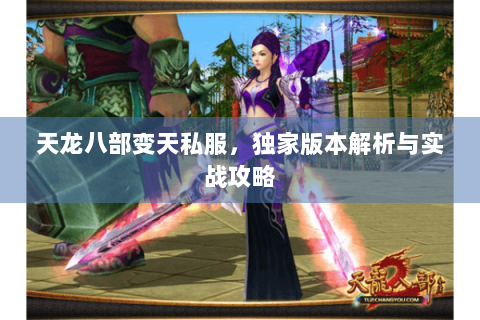 天龙八部变天私服，独家版本解析与实战攻略