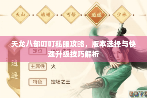 天龙八部叮叮私服攻略，版本选择与快速升级技巧解析