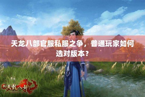 天龙八部官服私服之争,普通玩家如何选对版本? 天龙八部官服私服之争,普通玩家如何选对版本?