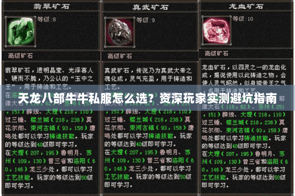 天龙八部牛牛私服怎么选?资深玩家实测避坑指南 天龙八部牛牛私服怎么选?资深玩家实测避坑指南