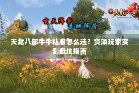 天龙八部牛牛私服怎么选?资深玩家实测避坑指南 天龙八部牛牛私服怎么选?资深玩家实测避坑指南