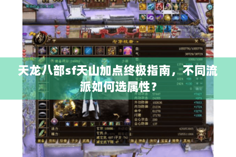 天龙八部sf天山加点终极指南，不同流派如何选属性？