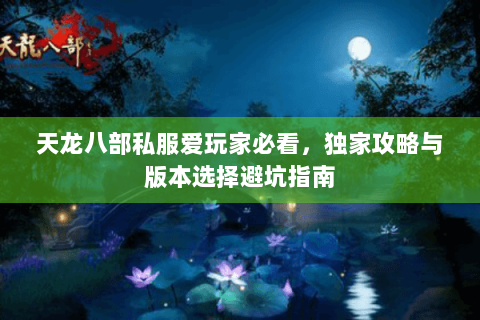 天龙八部私服爱玩家必看，独家攻略与版本选择避坑指南