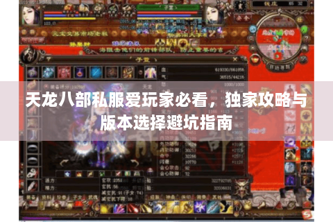 天龙八部私服爱玩家必看，独家攻略与版本选择避坑指南