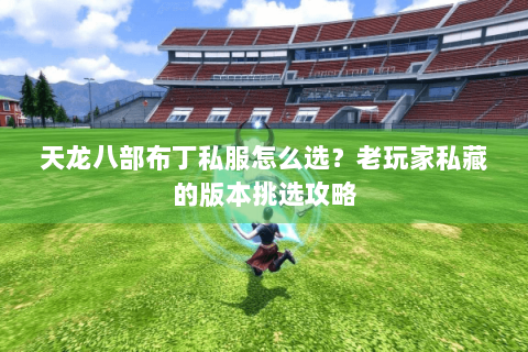 天龙八部布丁私服怎么选?老玩家私藏的版本挑选攻略 天龙八部布丁私服怎么选?老玩家私藏的版本挑选攻略