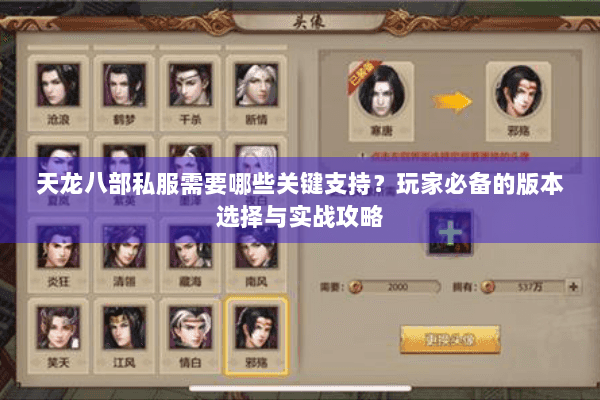 天龙八部私服需要哪些关键支持？玩家必备的版本选择与实战攻略