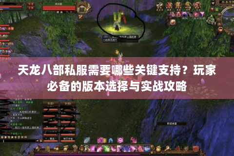 天龙八部私服需要哪些关键支持？玩家必备的版本选择与实战攻略