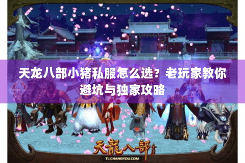 天龙八部小猪私服怎么选？老玩家教你避坑与独家攻略