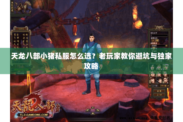 天龙八部小猪私服怎么选？老玩家教你避坑与独家攻略