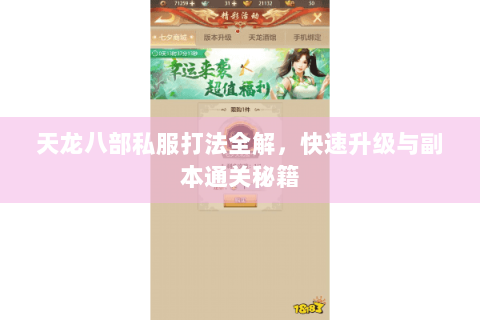 天龙八部私服打法全解，快速升级与副本通关秘籍