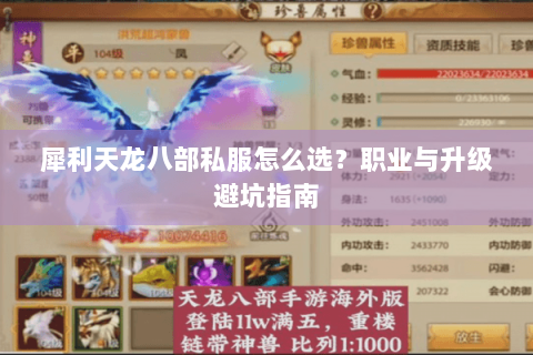 犀利天龙八部私服怎么选？职业与升级避坑指南