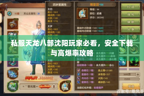 私服天龙八部沈阳玩家必看，安全下载与高爆率攻略