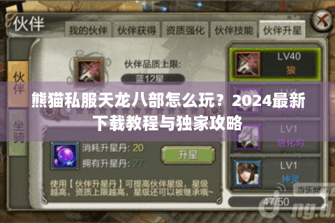 熊猫私服天龙八部怎么玩?2024最新下载教程与独家攻略 熊猫私服天龙八部怎么玩?2024最新下载教程与独家攻略