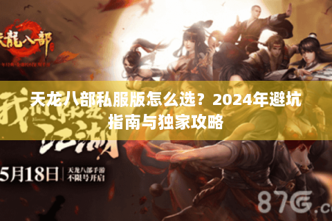 天龙八部私服版怎么选？2024年避坑指南与独家攻略