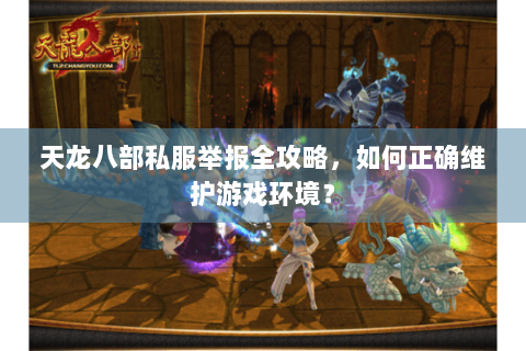 天龙八部私服举报全攻略，如何正确维护游戏环境？
