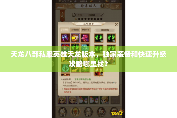 天龙八部私服英雄天龙版本,独家装备和快速升级攻略哪里找? 天龙八部私服英雄天龙版本,独家装备和快速升级攻略哪里找?