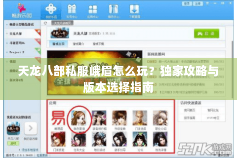 天龙八部私服峨眉怎么玩?独家攻略与版本选择指南 天龙八部私服峨眉怎么玩?独家攻略与版本选择指南