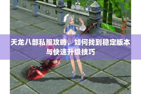 天龙八部私服攻略，如何找到稳定版本与快速升级技巧