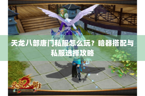 天龙八部唐门私服怎么玩？暗器搭配与私服选择攻略