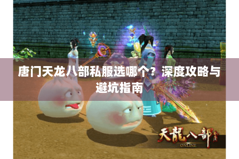 唐门天龙八部私服选哪个？深度攻略与避坑指南