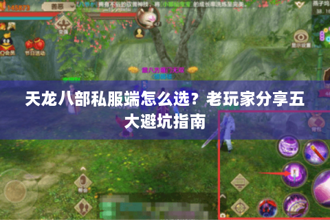 天龙八部私服端怎么选？老玩家分享五大避坑指南