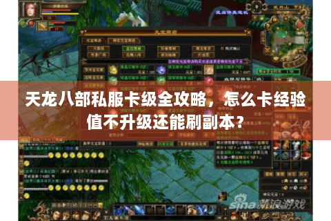 天龙八部私服卡级全攻略，怎么卡经验值不升级还能刷副本？