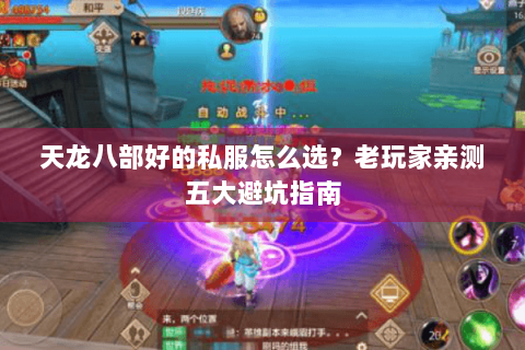 天龙八部好的私服怎么选?老玩家亲测五大避坑指南 天龙八部好的私服怎么选?老玩家亲测五大避坑指南
