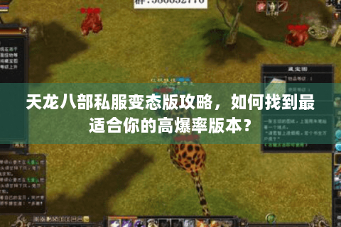 天龙八部私服变态版攻略，如何找到最适合你的高爆率版本？