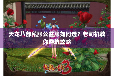 天龙八部私服公益服如何选?老司机教你避坑攻略 天龙八部私服公益服如何选?老司机教你避坑攻略