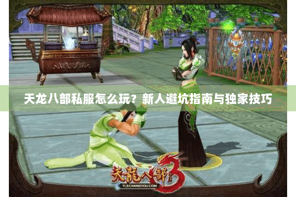 天龙八部私服怎么玩?新人避坑指南与独家技巧 天龙八部私服怎么玩?新人避坑指南与独家技巧