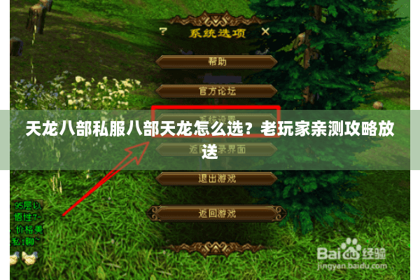 天龙八部私服八部天龙怎么选？老玩家亲测攻略放送