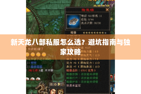 新天龙八部私服怎么选？避坑指南与独家攻略