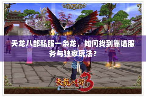 天龙八部私服一条龙，如何找到靠谱服务与独家玩法？