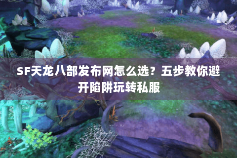 SF天龙八部发布网怎么选？五步教你避开陷阱玩转私服