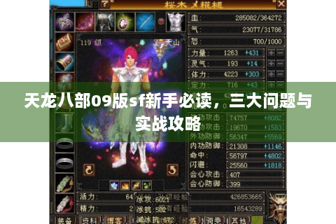 天龙八部09版sf新手必读，三大问题与实战攻略