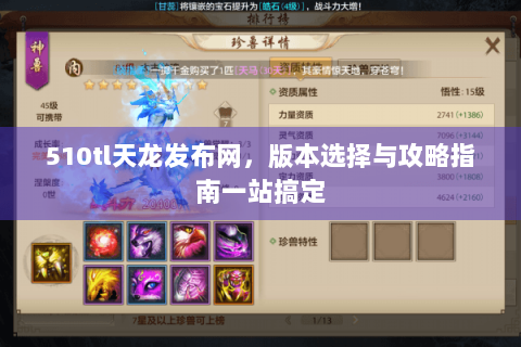 510tl天龙发布网，版本选择与攻略指南一站搞定