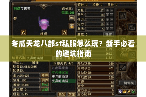 冬瓜天龙八部sf私服怎么玩?新手必看的避坑指南 冬瓜天龙八部sf私服怎么玩?新手必看的避坑指南