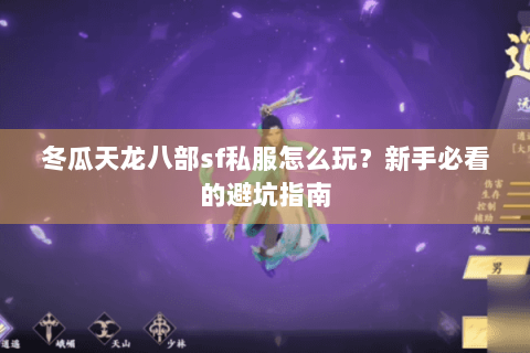 冬瓜天龙八部sf私服怎么玩?新手必看的避坑指南 冬瓜天龙八部sf私服怎么玩?新手必看的避坑指南