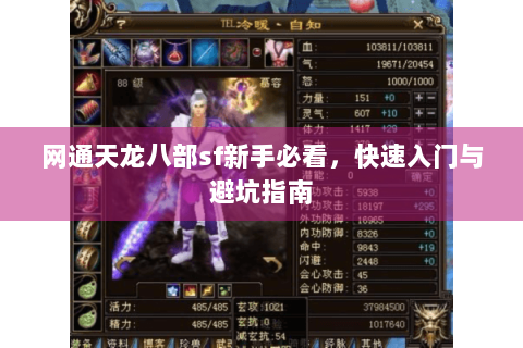 网通天龙八部sf新手必看,快速入门与避坑指南 网通天龙八部sf新手必看,快速入门与避坑指南