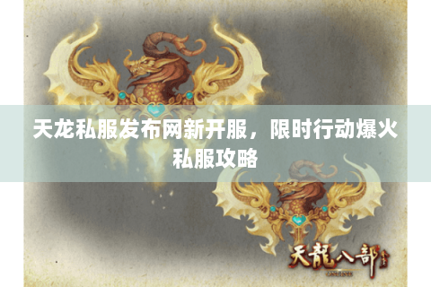 天龙私服发布网新开服,限时行动爆火私服攻略 天龙私服发布网新开服,限时行动爆火私服攻略