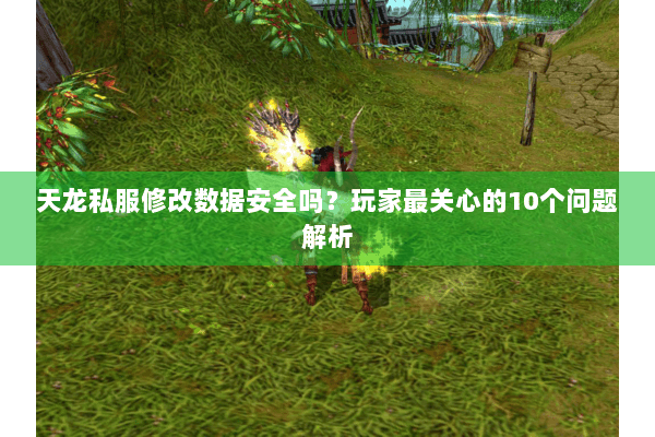 天龙私服修改数据安全吗?玩家最关心的10个问题解析 天龙私服修改数据安全吗?玩家最关心的10个问题解析